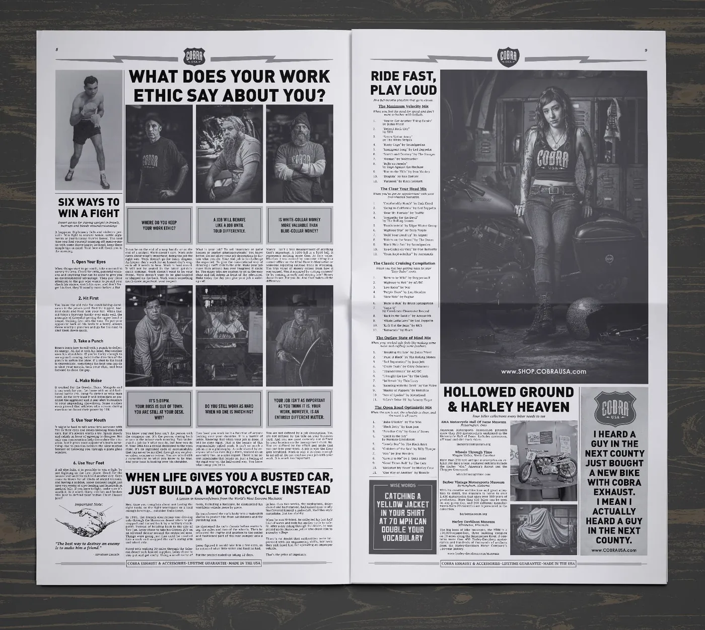 Cobra USA, image 26